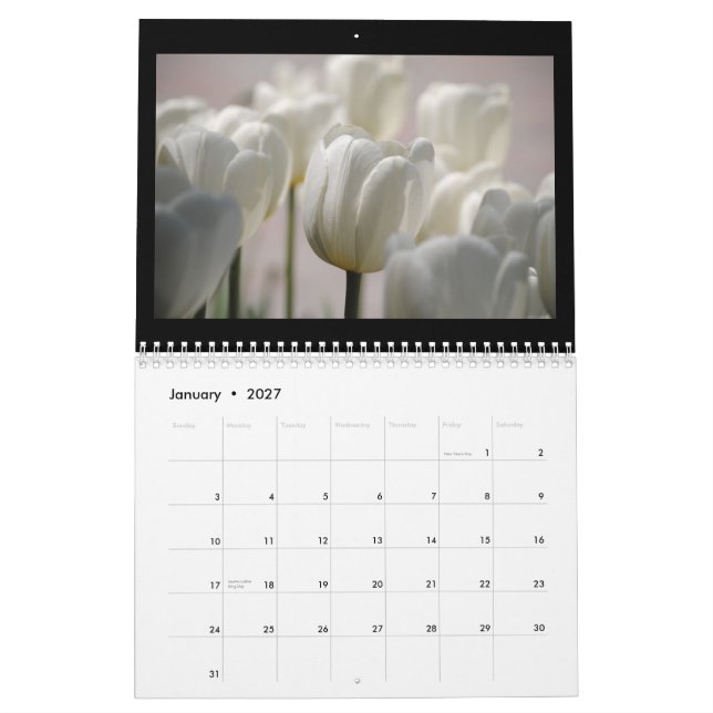 Tulips 2013 calendar (Jan 2027)