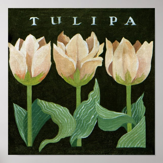 Tulips 2013 poster (Front)