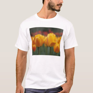 Tulips 2 T-Shirt
