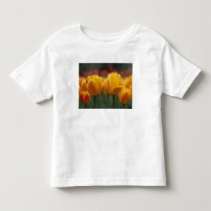 Tulips 2 toddler T-Shirt