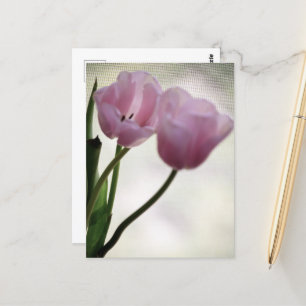Tulips 3265 postcard