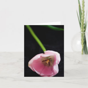 Tulips 3272 card