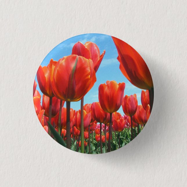 Tulips 3 Cm Round Badge (Front)