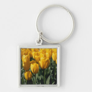 Tulips 3 key ring
