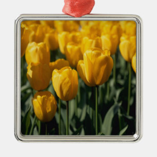 Tulips 3 metal ornament