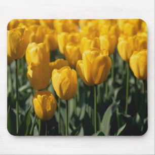 Tulips 3 mouse pad