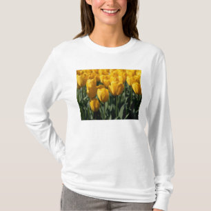 Tulips 3 T-Shirt