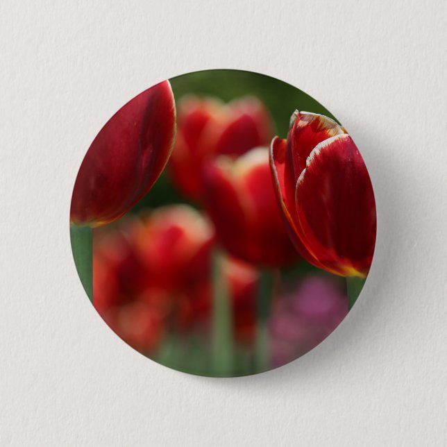 Tulips 6 Cm Round Badge (Front)