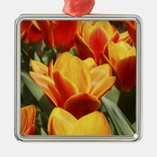 Tulips abound in Keukenhof Gardens, Holland. Metal Ornament