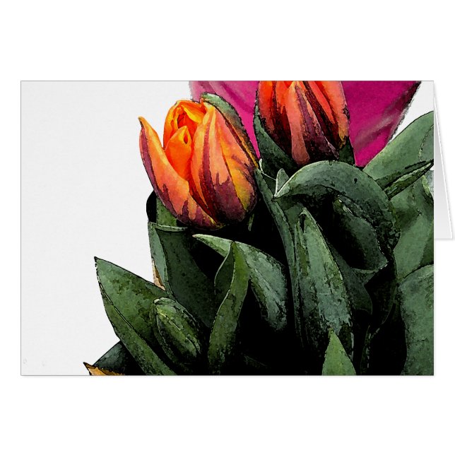 Tulips Again (Front Horizontal)