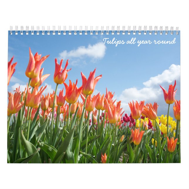 Tulips all year round calendar (Cover)