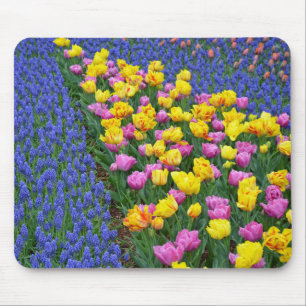 Tulips and bluebells flower garden mouse pad
