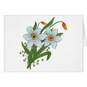 Tulips and Daffodils Flowers