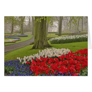 Tulips and daffodils, Keukenhof Gardens,