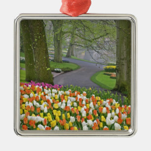 Tulips and roadway, Keukenhof Gardens, Lisse, Metal Ornament