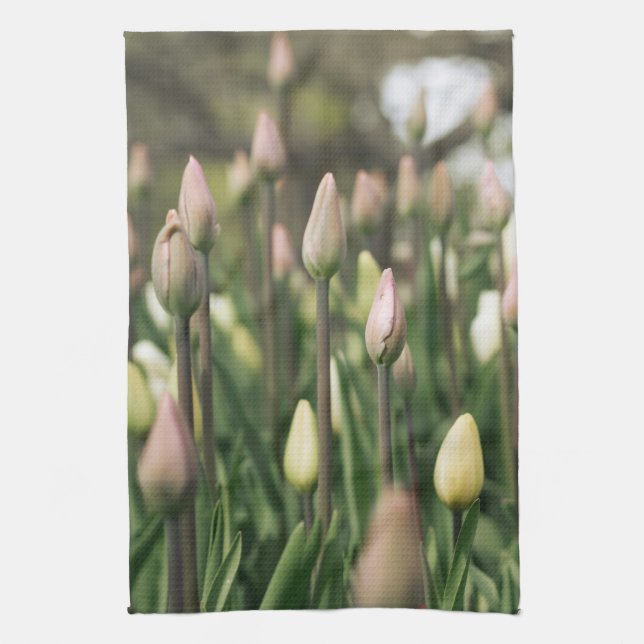 Tulips beginning to bloom tea towel (Vertical)