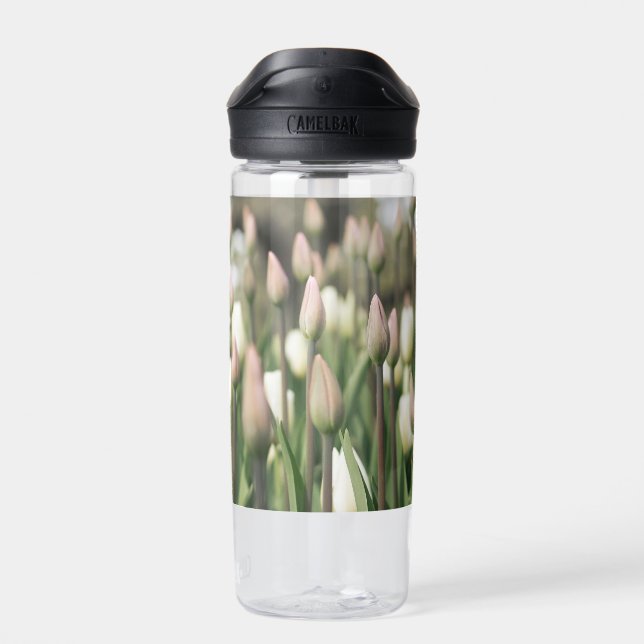 Tulips beginning to bloom water bottle (Back)