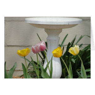 Tulips & Birdbath, Thinking of "YOU"