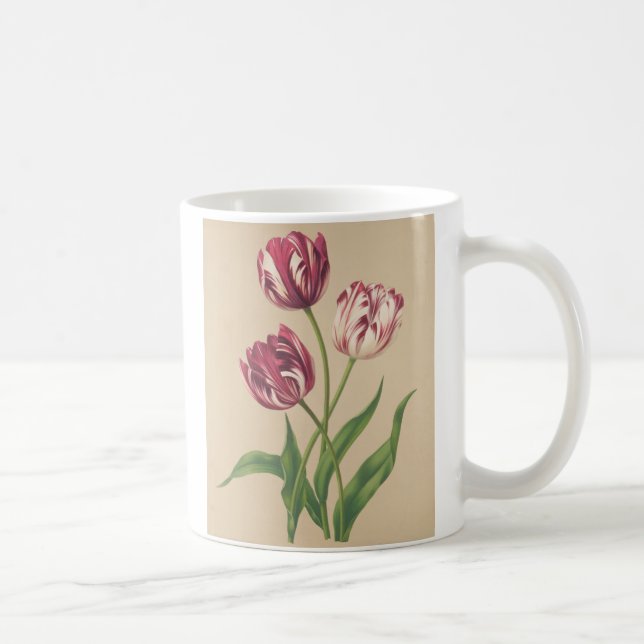 Tulips botanical art coffee mug (Right)