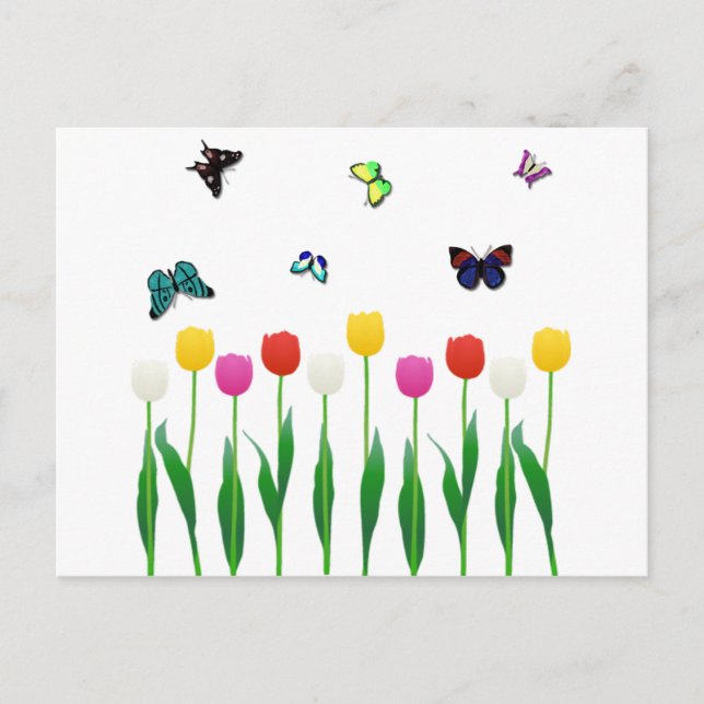 Tulips & Butterflies Postcard (Front)