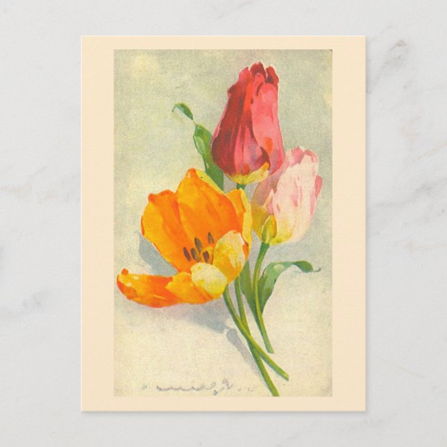 Tulips by Catherine Klein Postcard (Front)
