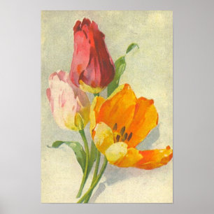 Tulips by Catherine Klein Poster