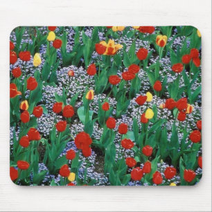 tulips by TDGallery Mouse Pad