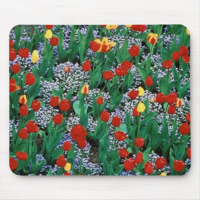 tulips  by TDGallery Mouse Pad (Front)