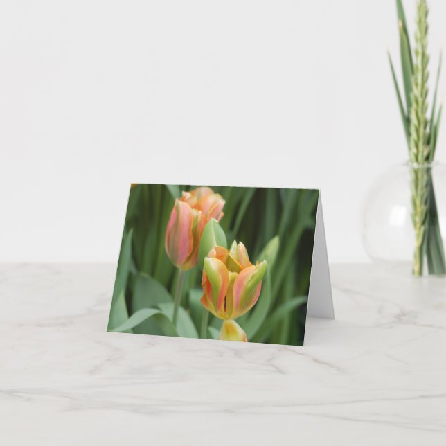 Tulips Card (Front)