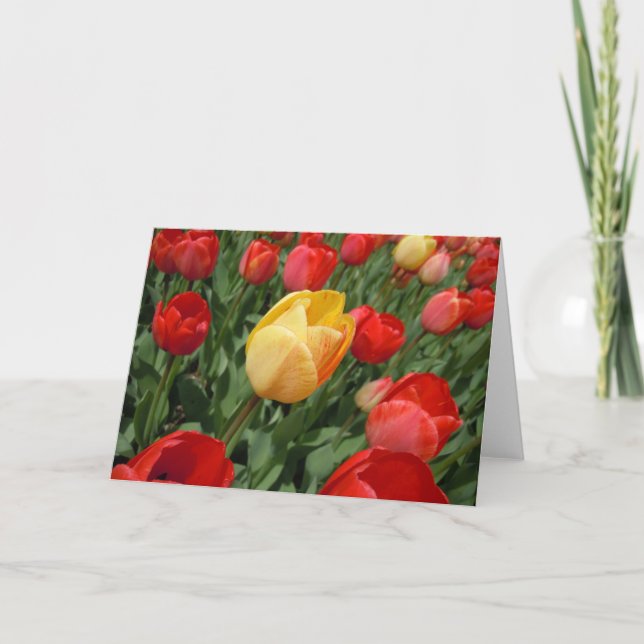 TULIPS CARD (Front)