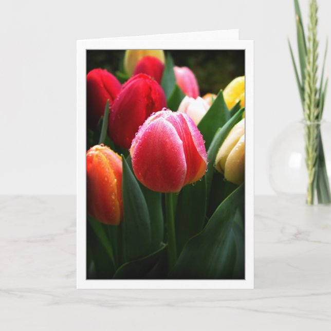 Tulips Card (Front)