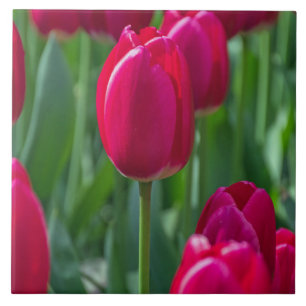 Tulips ceramic tile
