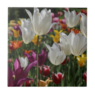 Tulips Ceramic Tile