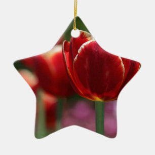 Tulips Ceramic Tree Decoration