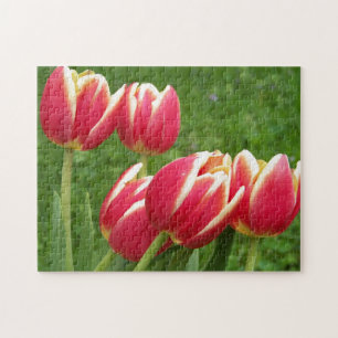 Tulips Closeup Jigsaw Puzzle