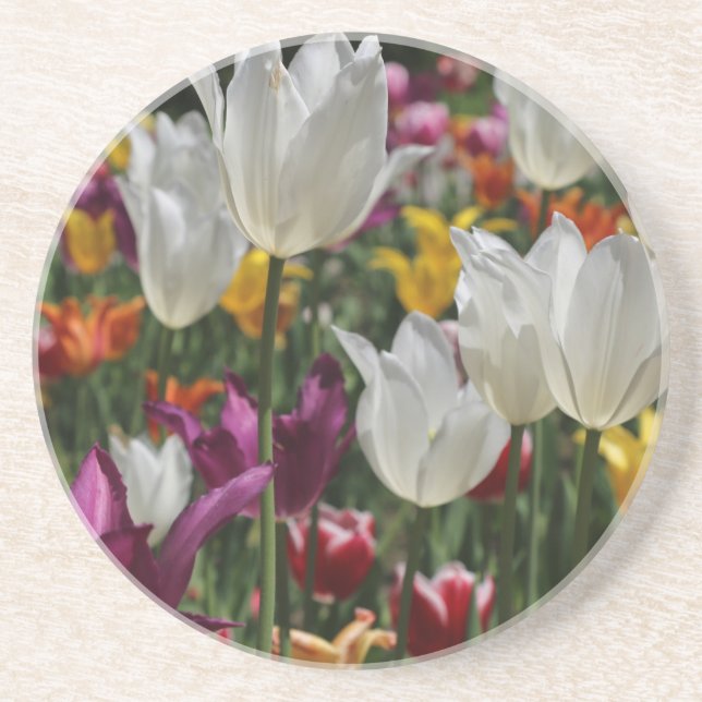 Tulips Coaster (Front)