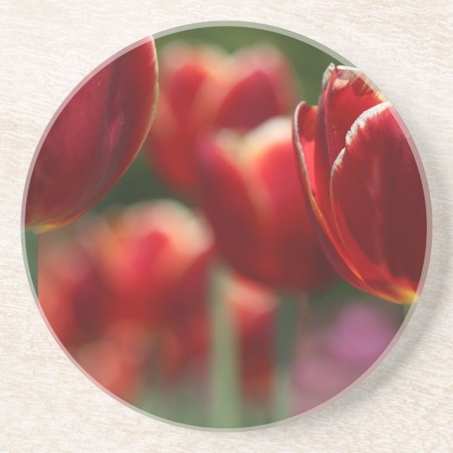 Tulips Coaster (Front)