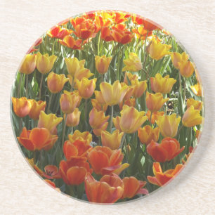 Tulips coasters