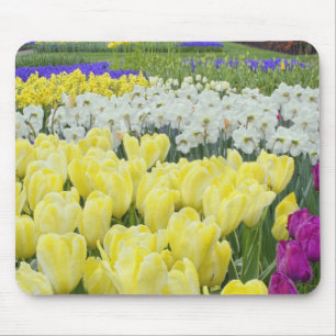 Tulips, daffodils, and Grape Hyacinth flowers, Mouse Pad