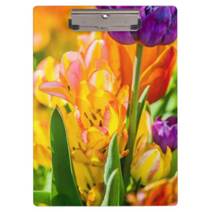 Tulips Enchanting 01 Clipboard
