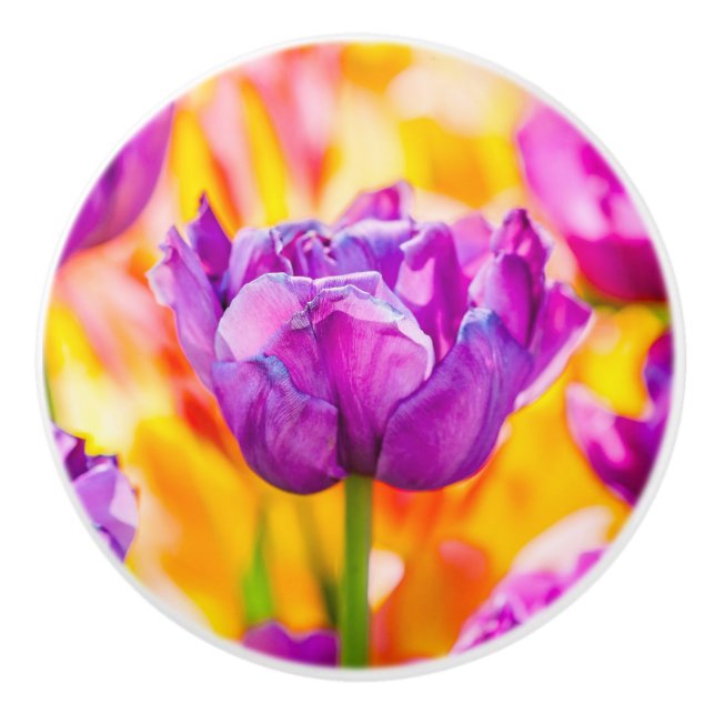 Tulips Enchanting 06 Ceramic Knob (Front)