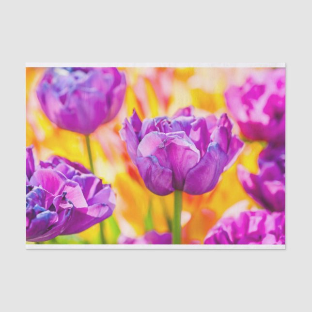 Tulips Enchanting 06 Tissue Paper (Front)