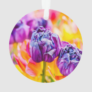 Tulips Enchanting 14 Ornament