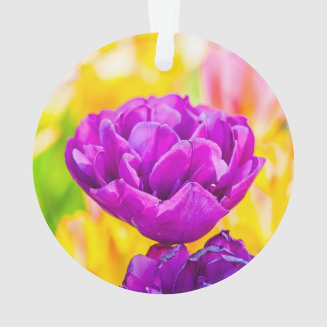 Tulips Enchanting 15 Ornament (Back)