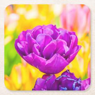 Tulips Enchanting 15 Square Paper Coaster