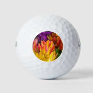 Tulips Enchanting 16 Golf Balls
