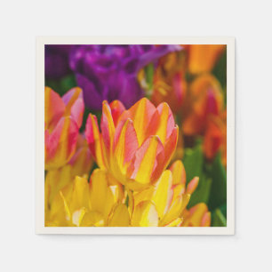 Tulips Enchanting 16 Napkin