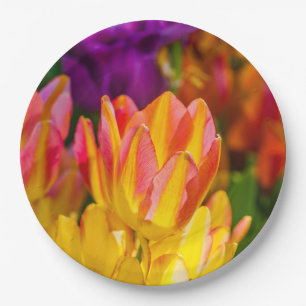 Tulips Enchanting 16 Paper Plate