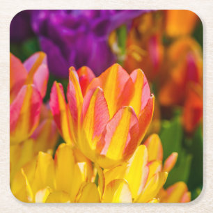 Tulips Enchanting 16 Square Paper Coaster