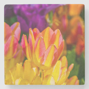 Tulips Enchanting 16 Stone Coaster